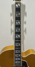 D'Angelico Excel EXL-1 / Amber_3