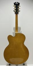 D'Angelico Excel EXL-1 / Amber_5