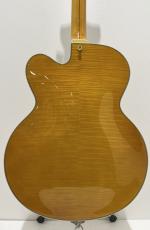 D'Angelico Excel EXL-1 / Amber_6