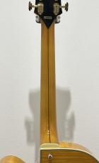 D'Angelico Excel EXL-1 / Amber_7