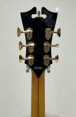 D'Angelico Excel EXL-1 / Amber_8