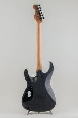Charvel Pro-Mod Plus Dinky DK24 HH HT Ebony Black Ash【S/N ICC2500982】_4