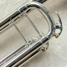 YAMAHA YTR-8335WS_3
