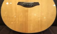 Furch Guitars 【個体演奏動画あり】【USED】Rainbow Gc-TZ '20年代【サイドバック 指板 ジリコテ】_4