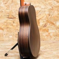 Taylor GS mini-e Rosewood LTD 2024_5