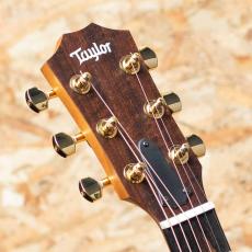 Taylor GS mini-e Rosewood LTD 2024_8