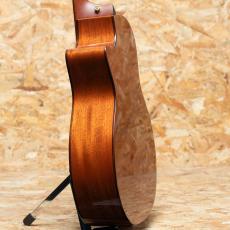 Taylor 514ce 2011_5