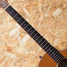 Taylor 514ce 2011_6