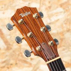 Taylor 514ce 2011_8