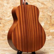 Taylor GS mini 2014_2