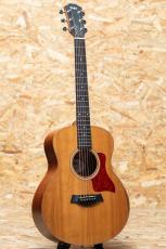 Taylor GS mini 2014_3
