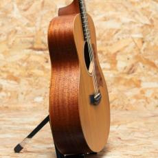 Taylor GS mini 2014_4