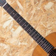 Taylor GS mini 2014_6