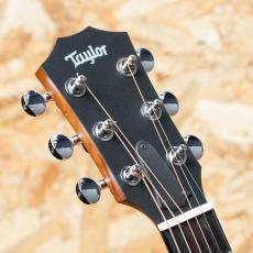 Taylor GS mini 2014_8