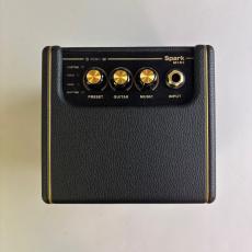 Positive Grid Spark MINI_2