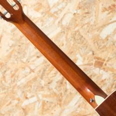 Taylor 414ce-N 2012_7