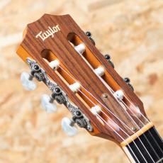Taylor 414ce-N 2012_8
