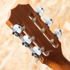 Taylor 414ce-N 2012_9