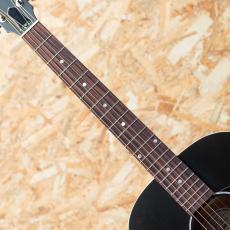 Gibson J-45 Special VS_6