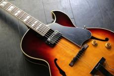 Archtop Tribute AT105M　ハードケース付き　セール期間限定価格_7