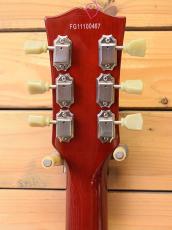 Burny RSG-55 63model/CR_4