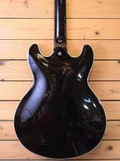 Aria Pro II TA-200 BK_5
