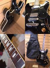 Aria Pro II TA-200 BK_6