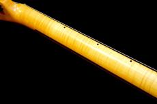 KING SNAKE SIDEWINDER/W.BLD_7