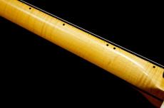 KING SNAKE SIDEWINDER/W.BLD_8