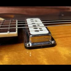DeArmond Starfire Special_3