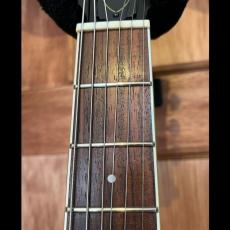 DeArmond Starfire Special_7