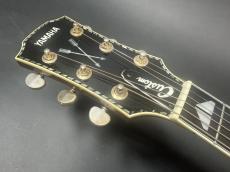 YAMAHA L-53 Special Order Made Model / Ezo Spruce Top・Jacaranda Side and Back :Center Ebony 3-Piece ・Original Grover Peg・Head and Body and Rosette Bias Abalone Trim・Ebony and Mahogany 5P-Neck・Tortoise Color _8