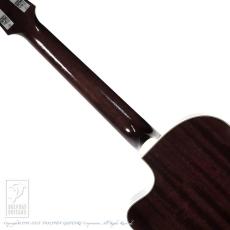 Switch SL-2 Bee【60回無金利対象品】_6