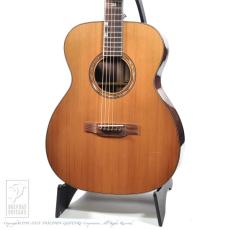 Fonzo Guitar V-201C 