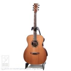 Fonzo Guitar V-201C _2