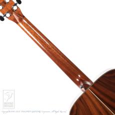Fonzo Guitar V-201C _6