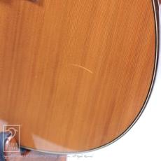 Fonzo Guitar V-201C _11
