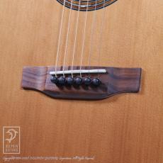 Fonzo Guitar V-201C _13