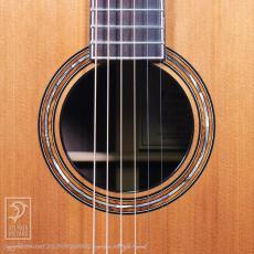 Fonzo Guitar V-201C _14