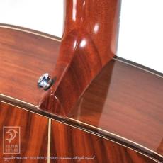 Fonzo Guitar V-201C _15