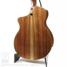 Martin SC-13E _3