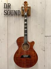 Takamine 【決算セール～8/31まで】 TSP178ACK  #62030178 【無金利分割OK】_2