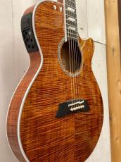 Takamine 【決算セール～8/31まで】 TSP178ACK  #62030178 【無金利分割OK】_3