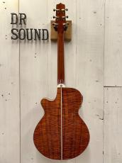 Takamine 【決算セール～8/31まで】 TSP178ACK  #62030178 【無金利分割OK】_8