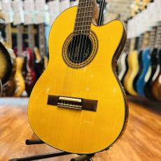 Gibson Chet Atkins CE