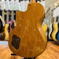 Gibson Chet Atkins CE_9