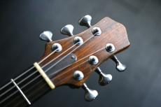 Nishgaki Guitars  Style-N Nishgaki Guitars Cirrus Semi-hollow_2