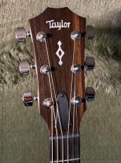 Taylor 【New Version!!】314ce Next Generation #1204176065 【Claria™搭載】【48回迄金利0%対象】【送料当社負担】_4