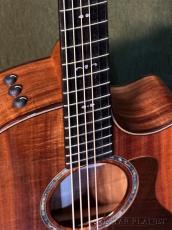 Taylor 724ce Gloss V-Class -Hawaiian Koa- #1208264080【48回迄金利0%対象】【送料当社負担】_3