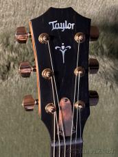 Taylor 724ce Gloss V-Class -Hawaiian Koa- #1208264080【48回迄金利0%対象】【送料当社負担】_4